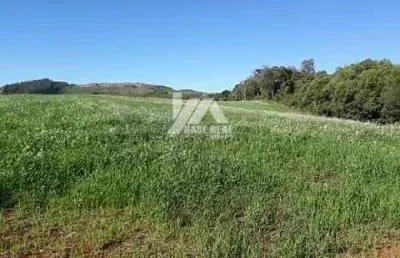Chácara com 3 dormitórios à venda, 56000 m² - zona rural - campina do simão/pr