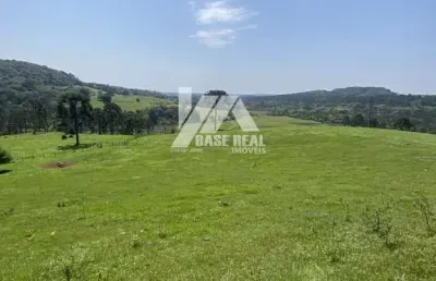 Oportunidade única! fazenda de 119,77 ha em 

guarapuava/pr