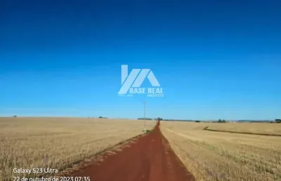 Chácara / sítio à venda na Centenário Do Sul, Zona Rural, Centenário do Sul