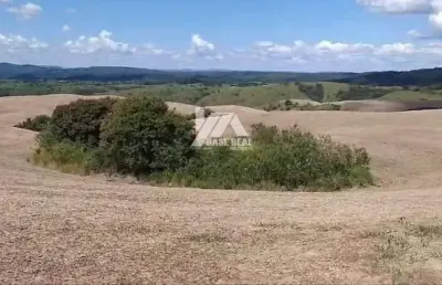Chácara / sítio com 2 quartos à venda na Rural, Zona Rural, Rosário do Ivaí
