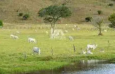 Chácara / sítio com 4 quartos à venda na Rural, Zona Rural, Jacarezinho