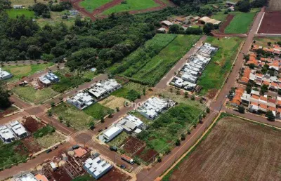 Terrenos a venda na pioneira , loteamento cerejeira ,