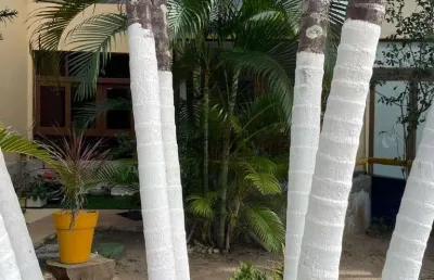 Village duplex nascente com jardim e 2 quartos em condomínio completo