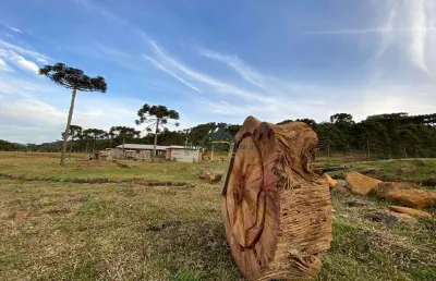 Chácara / sítio à venda na Zona Rural, Urubici 