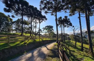 Chácara / sítio à venda no Santa Tereza, Urubici 