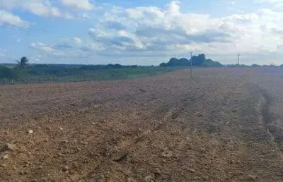Granja com 3.6 hectares na região de monte alegre com uma excelente localização oportunidade única