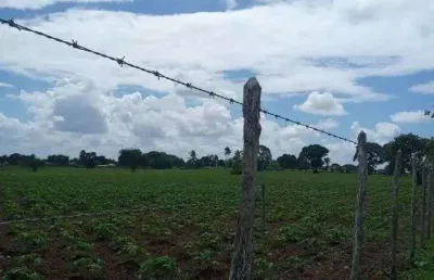 Excelente granja com 6 hectares no cobe município de vera cruz