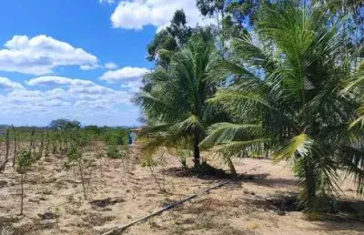 Chácara / sítio com 3 quartos para alugar no Centro, Senador Elói de Souza 