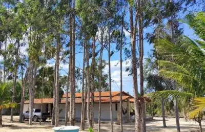 Chácara / sítio com 3 quartos à venda no Centro, Senador Elói de Souza 