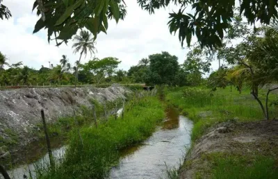 Granja com 1.5 hectares com 2 casas e rio perene esc. pública