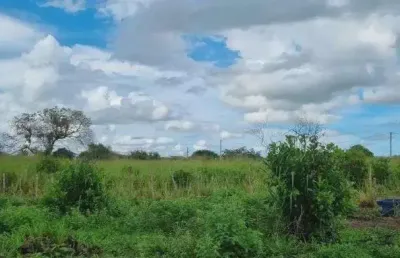 Chácara / sítio com 4 quartos à venda no Centro, Macaíba 