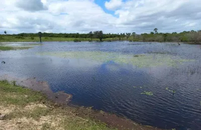 Excelente granja em lagoa de pedras com 12 hectares