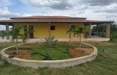 Linda fazenda com 35 hectares na região de afonso bezerra