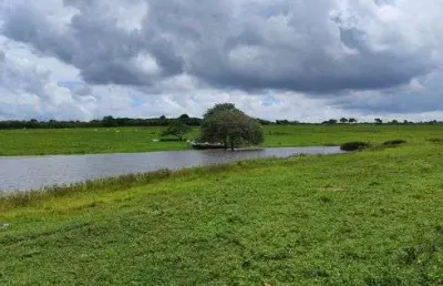 Fazenda/sítio/chácara com 17 hectares na região de monte alegre com açude poço cural top armazém
