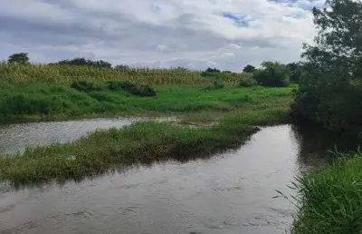 Granja com 23 hectares proximo da cidade e do rancho aliança