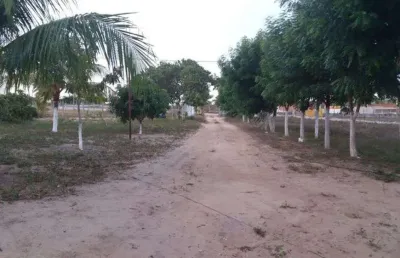 Linda fazenda com 34 hectares em mendes município de são josé de mipibu