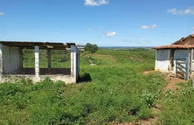 Excelente granja com 6.6 hectares no arena excelente para criação e plantação