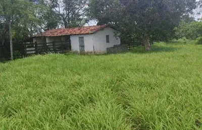 Fazenda com 40 hectares em comum município de monte alegre um luxo de fazenda