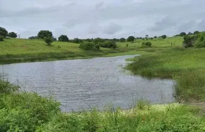 Chácara / sítio com 4 quartos à venda no Centro, Monte Alegre 