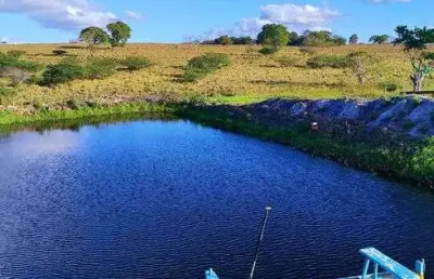 Fazenda com 2.6 hectares bem estruturada de porteira fechada