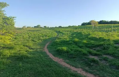 Granja com 20 hectares em monte alegre no distrito de comum cortada apelo rio e plantada