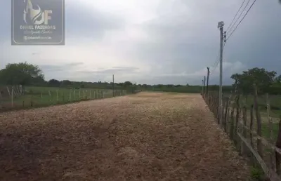 Fazenda com 27 hectares de porteira fechada em traíras