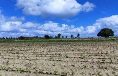 Excelente chácara com 14.400 metros quadrados bem estruturada na região de monte alegre