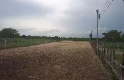 Ótima fazenda com 27 hectares de porteira fechada em traíras