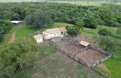 Fazenda com 5 mil hectares no estado do piauí são miguel do tapuio
