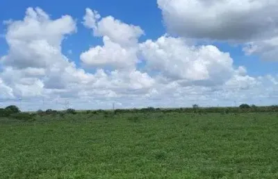 Chácara / sítio com 3 quartos à venda no Centro, Jandaíra 