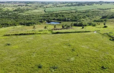 Fazenda com 80.5 hectares em monte alegre estruturada rica em água