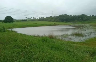 Excelente granja com 11 hectares na região de monte alegre estruturada