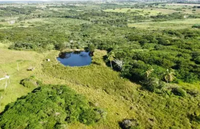 Fazenda com 80.5 hectares no vale de monte alegre com uma excelente localização pronta para criação