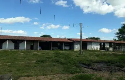 Fazenda na br.304 próximo a santa maria 80 hectares