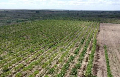 Fazenda com 50 hectares na região de touros 100% desmatada e com 3 poço tubulares de alta vazão hs