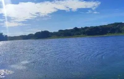 Fazenda com 72 hectares de porteira fechada em brejinho mais informações chama no what