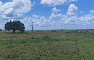 Chácara / sítio com 3 quartos à venda no Centro, Monte Alegre 