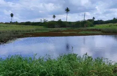 Fazenda com 103.8 hectares próximo a escola agrícola de jundiá boa de pasto e água
