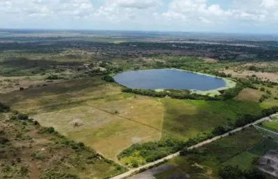 Fazenda com 60 hectares próximo do aeroporto com uma excelente localização e estrutura
