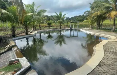 Fazenda com 80 hectares no catu em goianinha estruturada com 2 rios perenes
