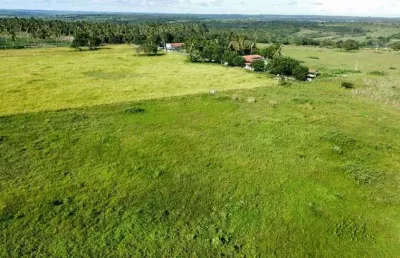 Fazenda/sítio/chácara para venda tem 80.5 hectares direto com o proprietário estudamos proposta