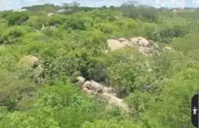 Fazenda com 36 hectares com licença para exploração de pedreira em angicos na br304