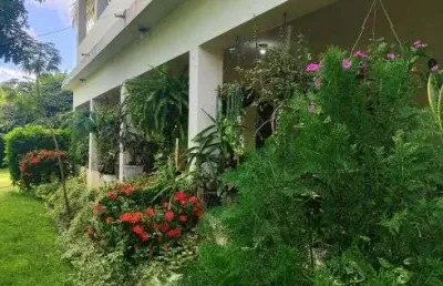 Granja com 12.6 hectares próximo a lagoa de bonfim com uma localização perfeita privilegiada