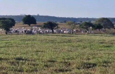 Fazenda com 184 hectares na região de mari-pb estrutura em tudo um luxo de propriedade pronta