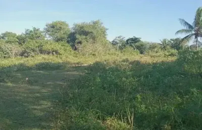 Excelente fazenda com 49 hectares na região de são gonçalo do amarante