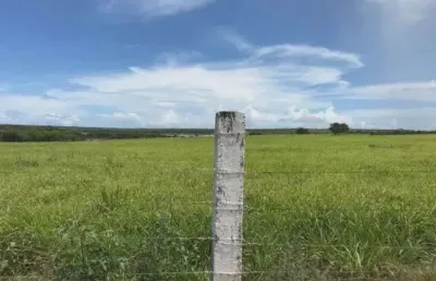 Fazenda com 72 hectares na região de ceará mirim-rn
