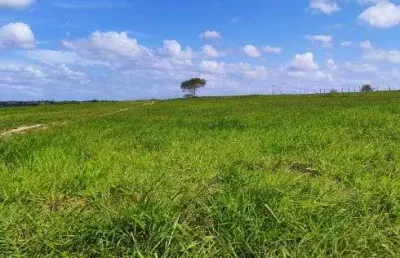 Fazenda com 220 hectares na região de monte alegre plantada e estruturada bastante água