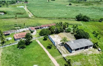 Fazenda/sítio/chácara para venda com 55 hectares em plena br101 a 1 km da entrada da cidade top