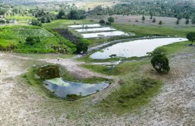 Fazenda com 40 hectares em monte alegre com grande potencial