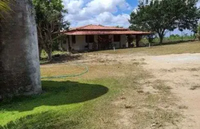 Granja com 14 hectares em punau estruturada rio perene
